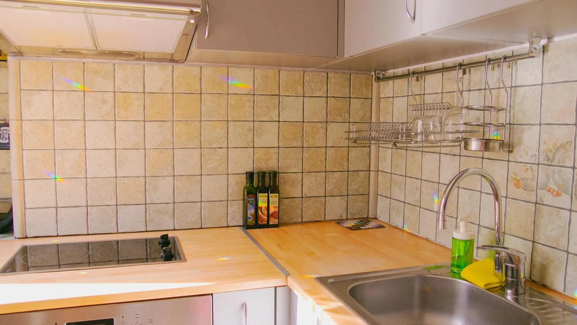 Apartment Spacious 1 Bed Flat Near Vitosha Blvd Sofia